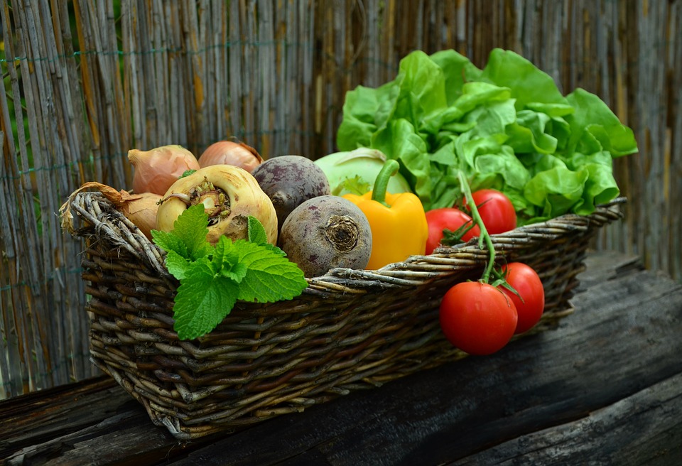 panier fruits légumes bio